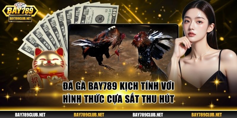 Đá gà BAY789 kịch tính với hình thức cựa sắt thu hút