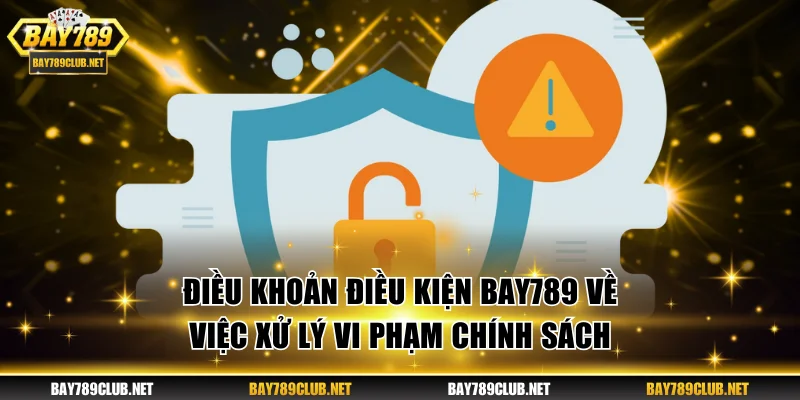 Điều khoản điều kiện BAY789 về việc xử lý vi phạm chính sách