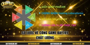 Sơ lược về cổng game Bay789 chất lượng